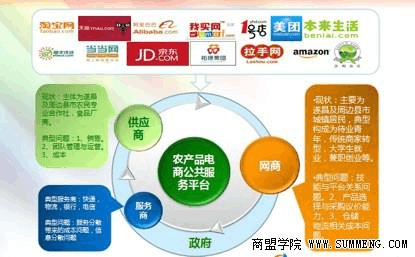 遂昌模式 电子商务服务如何助力农产品电商平台成功落地