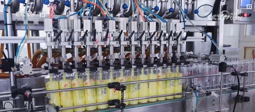 透过数据看变化，双11购物热彰显消费市场活力与电子商务服务提升