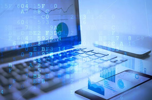 变革中的生存法则 电商时代经销商的转型之路